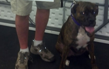 Tom with his dog Duke at graduation.